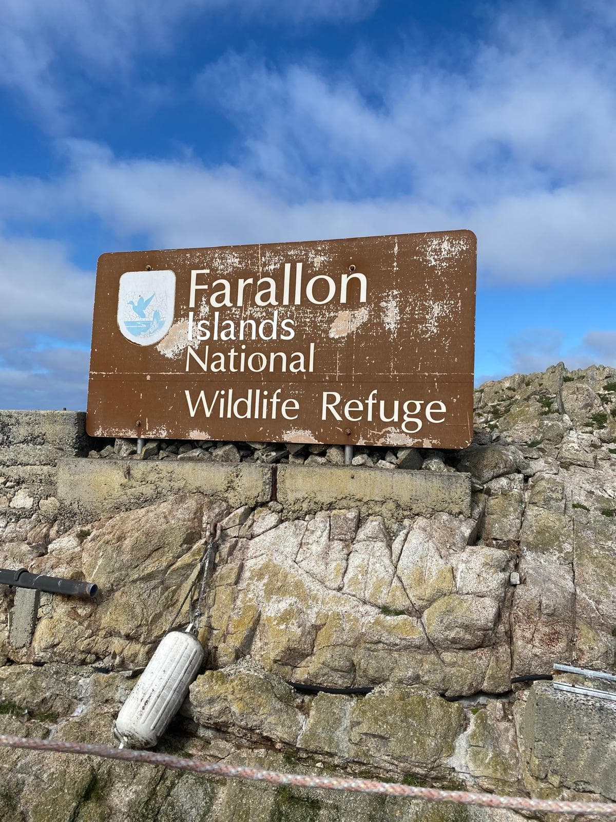 Farallon Islands tour