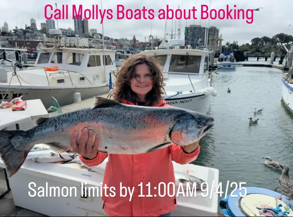 “Salmon Return” Speculation on the SF Bay: Hype, Hope, or Hard Data for 2026?